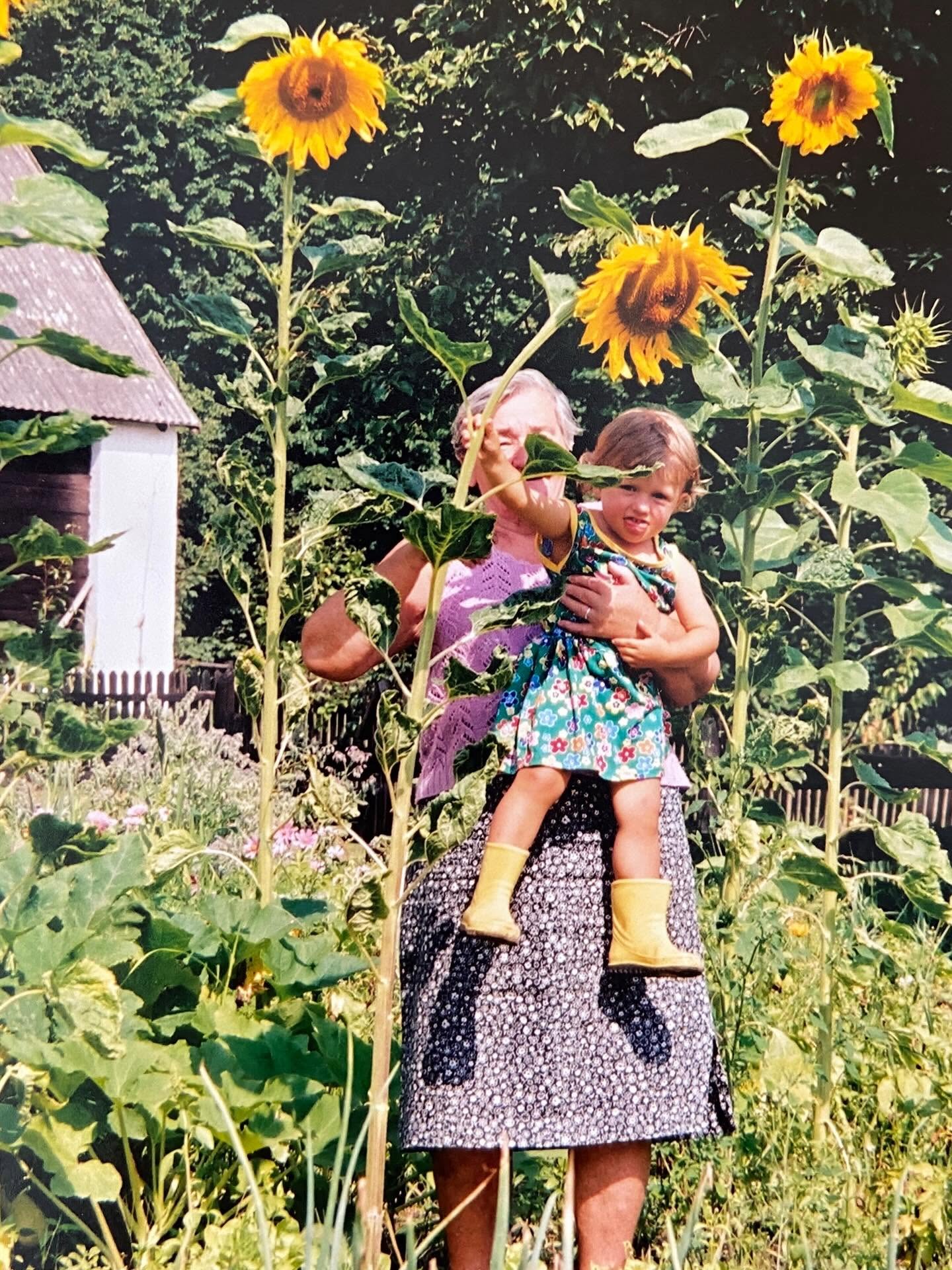 Babcia z wnuczką w ogrodzie ze słonecznikami — lata 90.