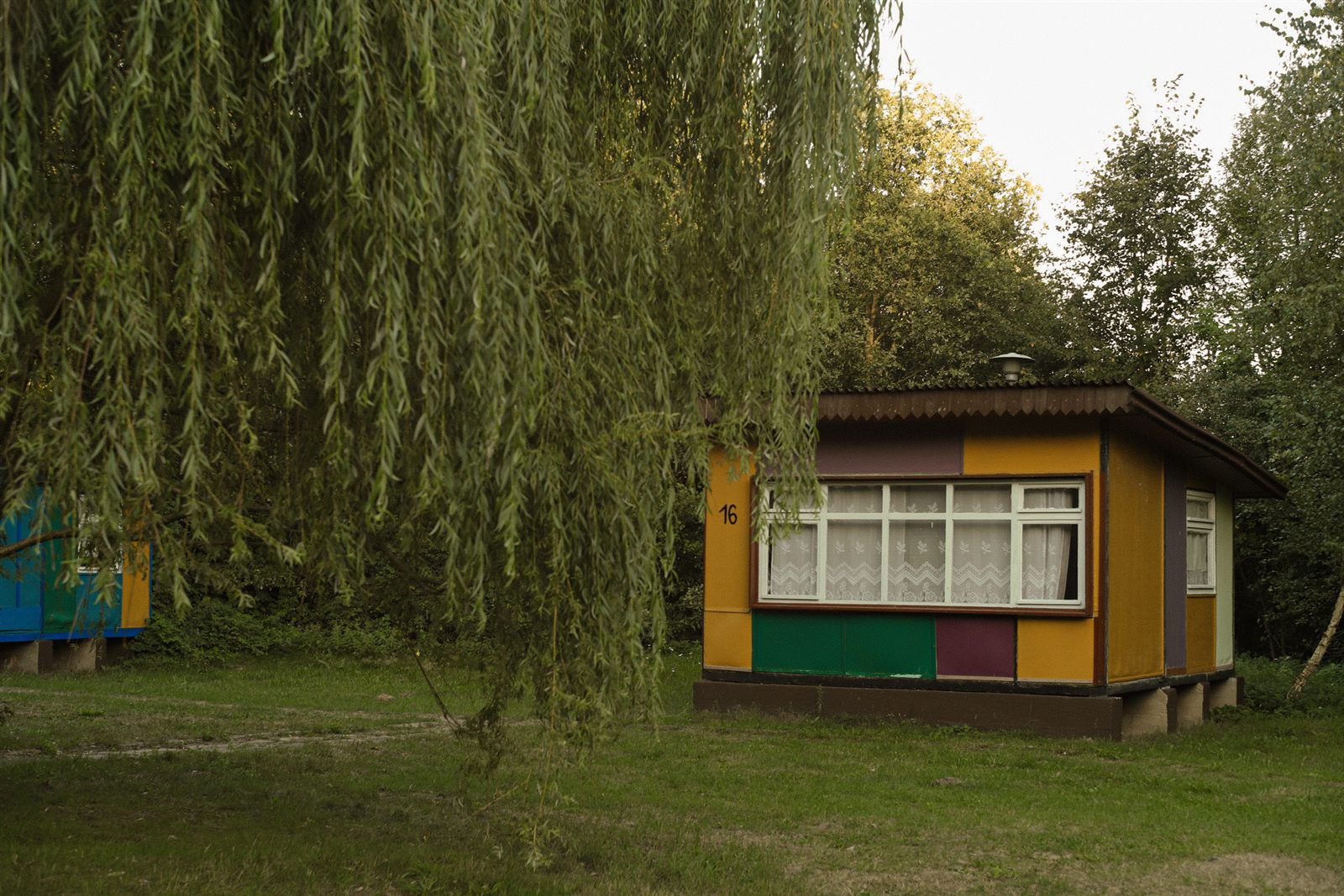Domek nr 16 pod wierzbą
