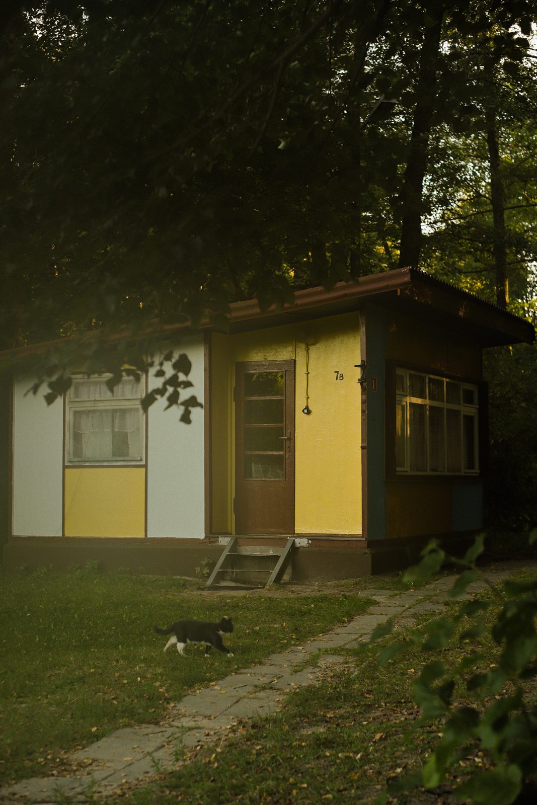 Domek z malowanymi słonecznikami i chabrami