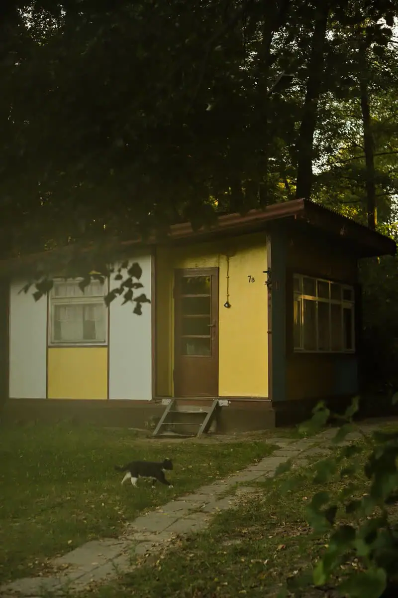 Domek z malowanymi słonecznikami i chabrami
