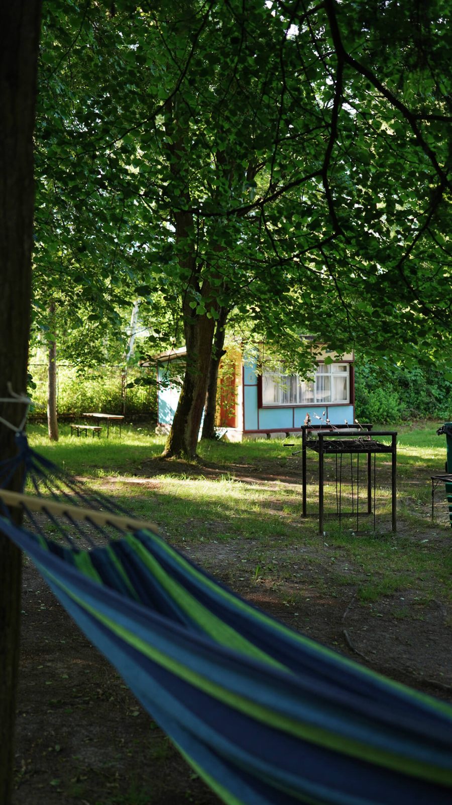 Camping — hamak i grill wśród drzew