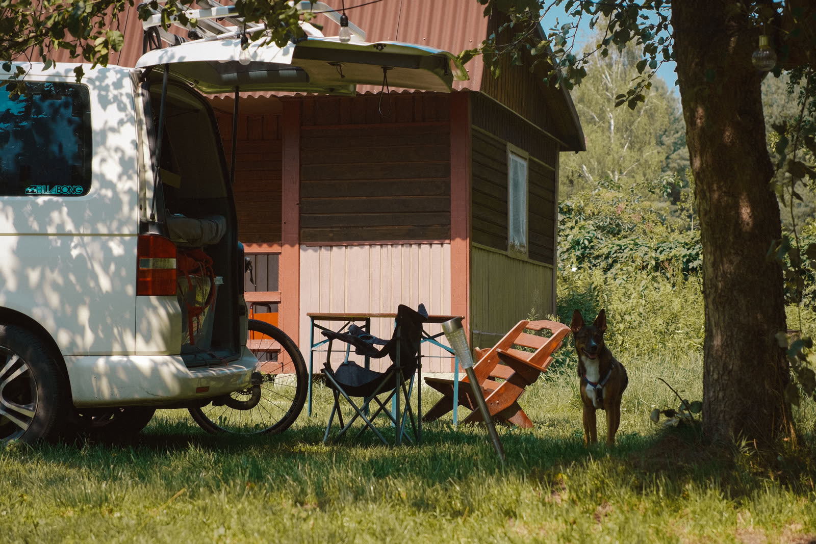 Camper zaparkowany w cieniu dębu na polu campingowym