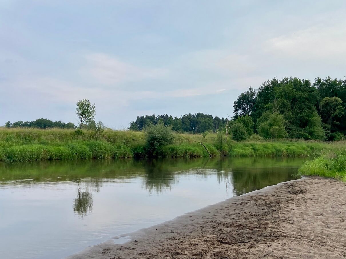 Naturalna plaża nad Pilicą